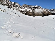 27 Per proseguire verso Forcella Rossa lascio la stradetta e seguo a dx  provvidenziali orme nella neve alta